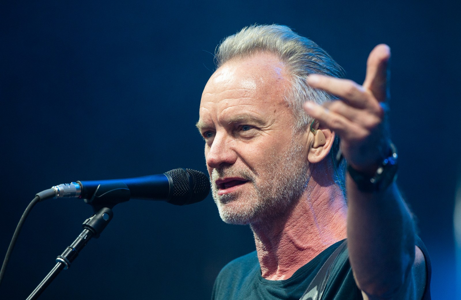 Audience at a Sting concert